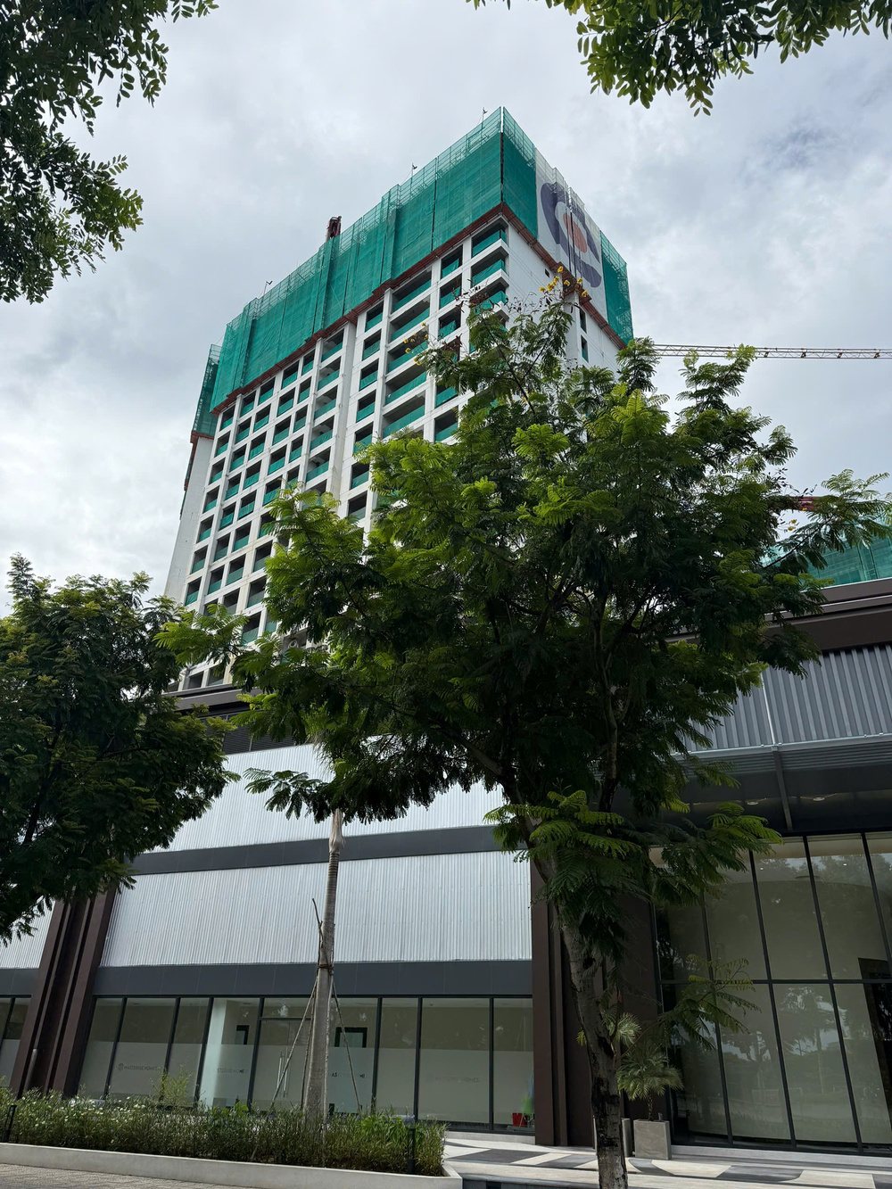 Tiến độ Masteri Rivera Đà Nẵng cập nhật tháng 8-2025 (2)