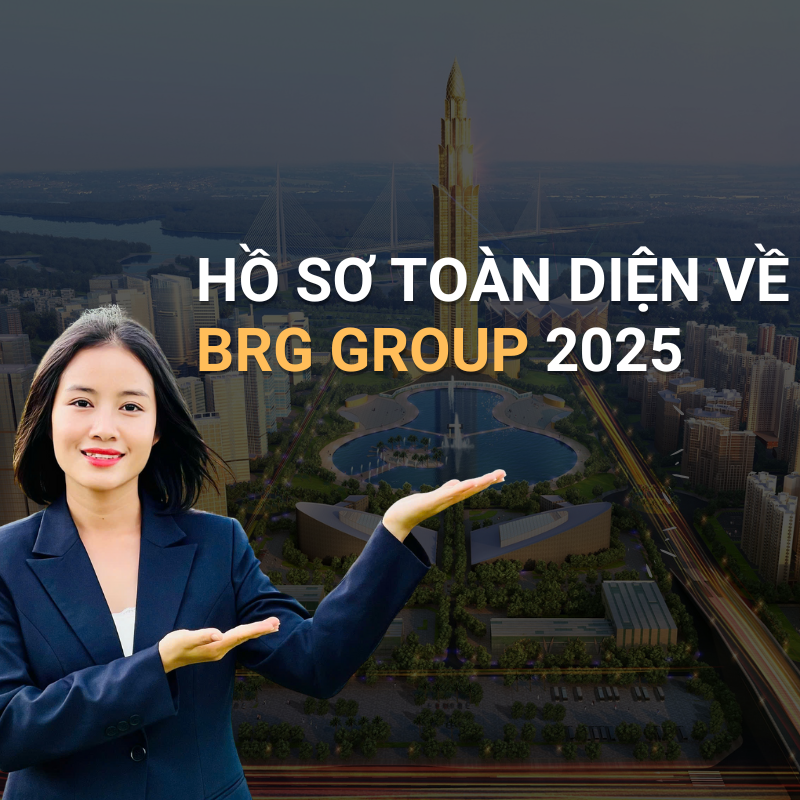 Hồ sơ toàn diện về BRG Group