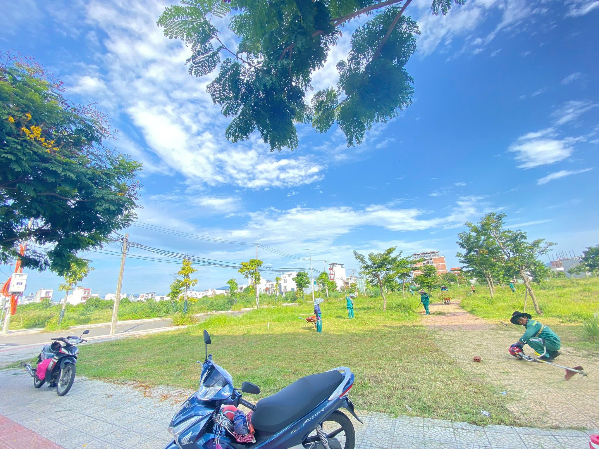 Cảnh quan dự án đất nền Cồn Dầu